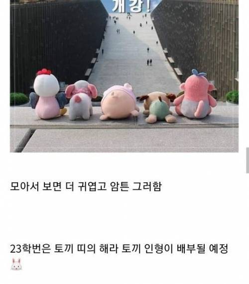 매년 신입생들에게 동물 인형을 선물하는 한 대학교