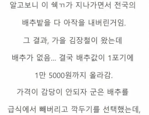 배추가 없다고 모든 김치 요리에 깍두기를 넣은 군대 대참사
