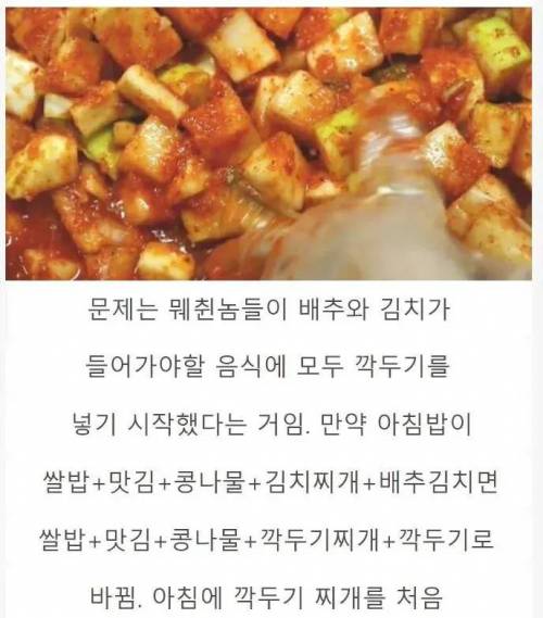 배추가 없다고 모든 김치 요리에 깍두기를 넣은 군대 대참사