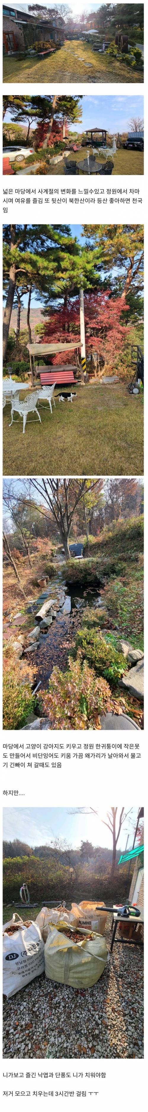전원주택 사는 사람들의 일상생활