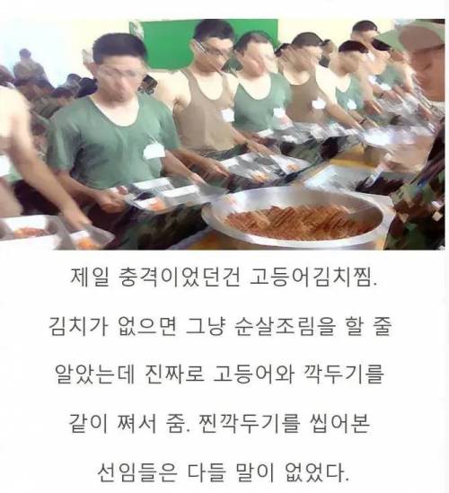 배추가 없다고 모든 김치 요리에 깍두기를 넣은 군대 대참사