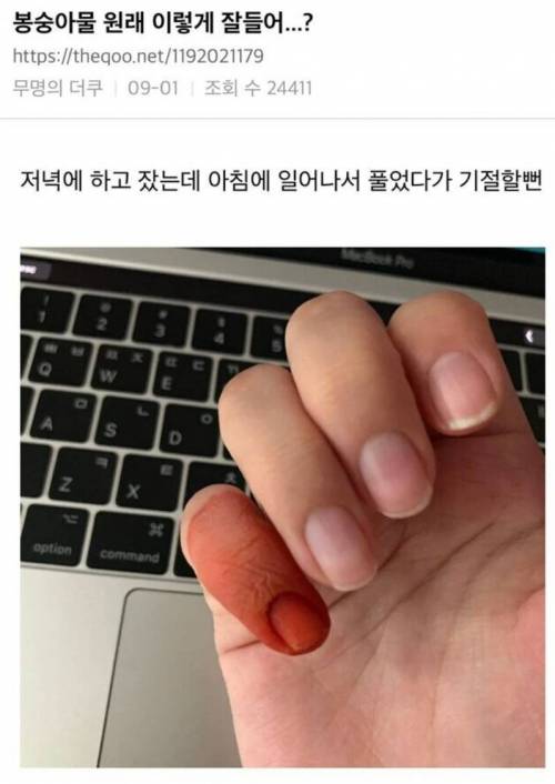 봉숭아물 대참사