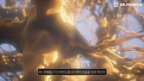 펜타닐이 무서운 이유