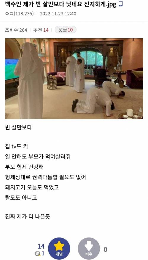 사우디 빈 살만보다 나은 인생임을 느낀 디씨인.jpg