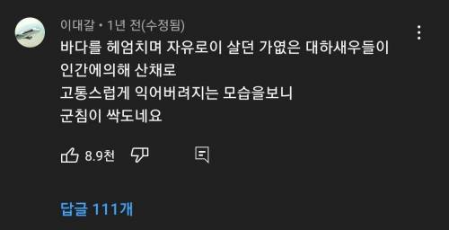 gif) 인간의 잔인함을 질책하는 댓글들