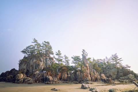 박해일 팬이 선물한 ＜헤어질 결심＞ 케이크와 꽃다발.jpg