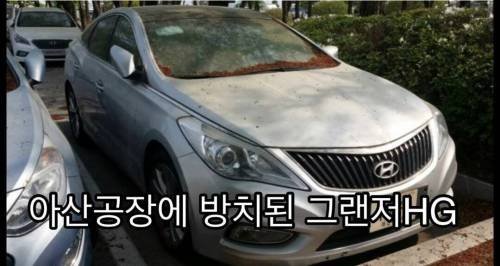 아산 공장에 방치중인 현대 자동차들 .jpg