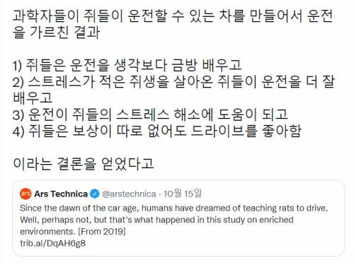 쥐들이 운전할 수 있는 차를 만들어서 운전을 가르침