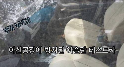 아산 공장에 방치중인 현대 자동차들 .jpg