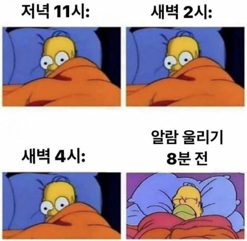 불면증 특징.jpg