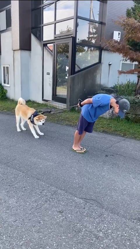 자존심 강한 개와 사람