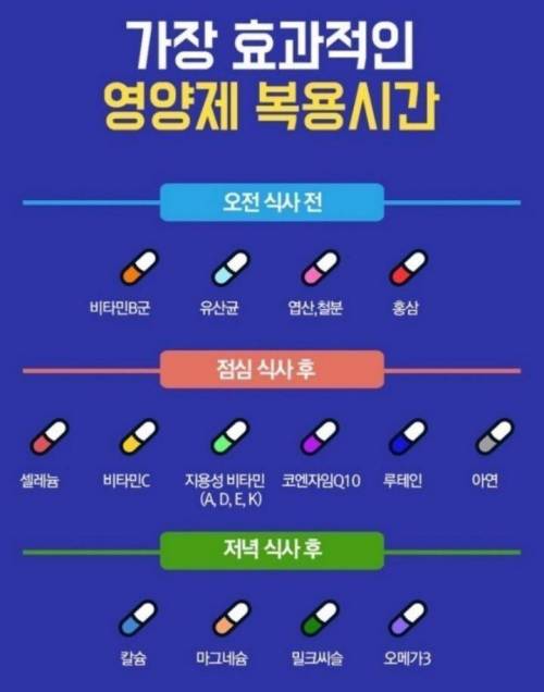 효과적인 영양제 복용시간