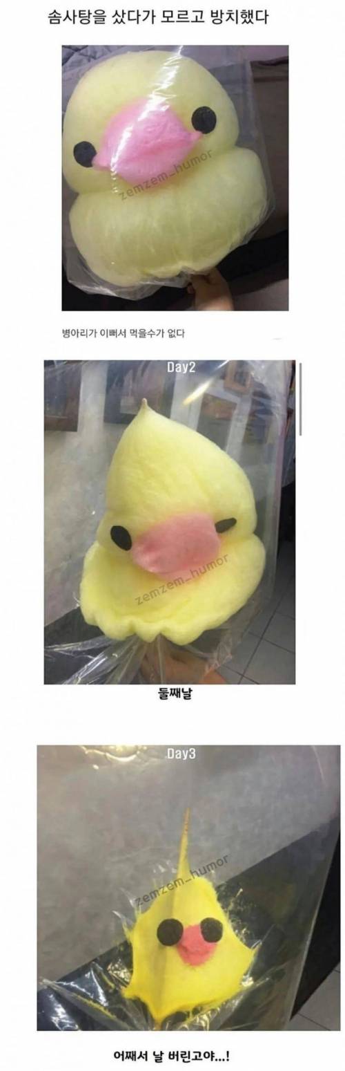 솜사탕 방치 하면 생기는 일