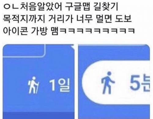 구글 맵의 숨겨진 디테일.jpg