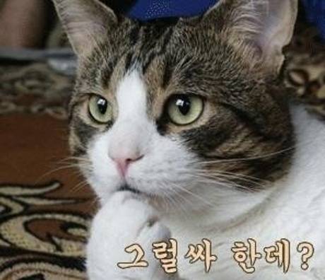 각자 본인이 가지고 있는 직업병 말해보자.jpg