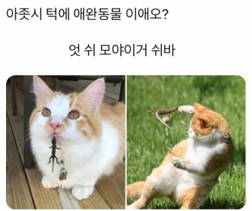 턱에 그거 모에요?