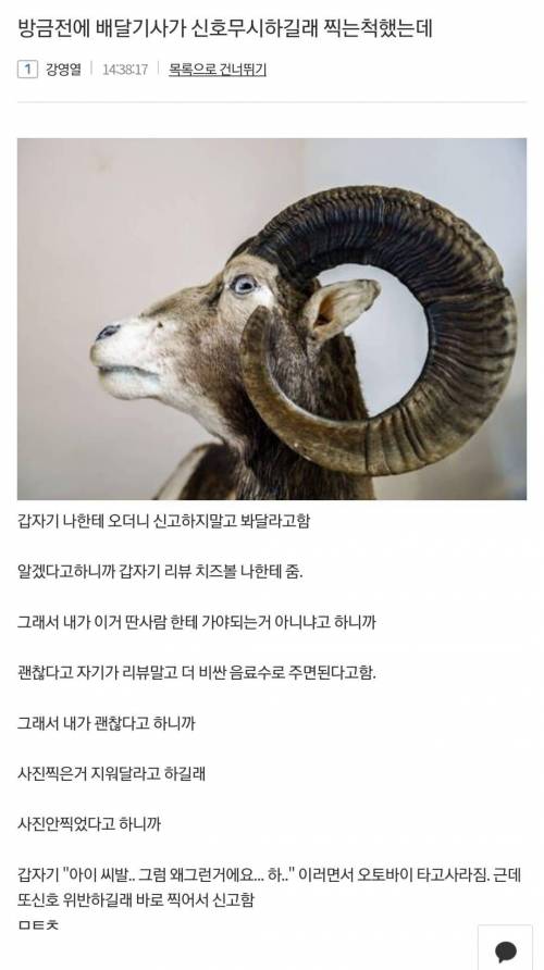 방금전에 배당기사가 신호 무시하길래 찍는척 함