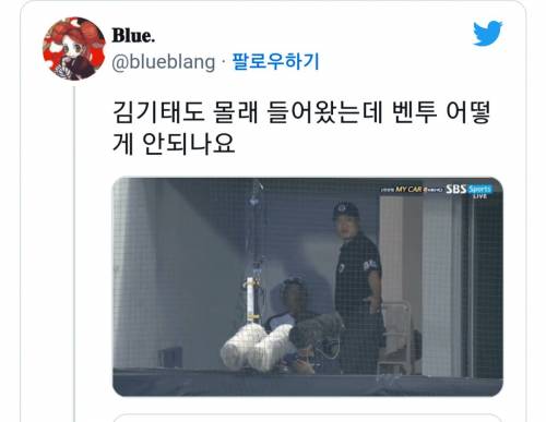 벤투 퇴장 이후, 벤투가 경기 지시하는 대안을 제시하는 우리나라사람들