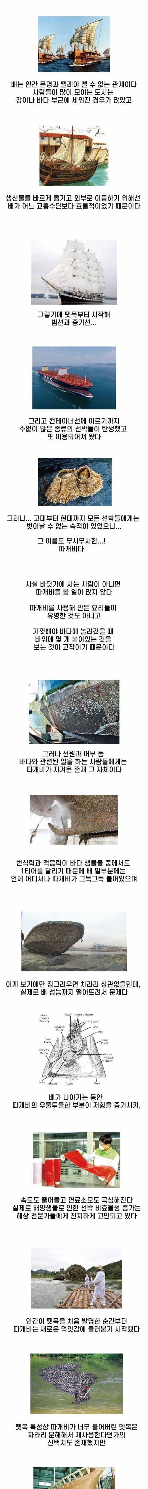 끝나지 않는 따개비와의 싸움.jpg
