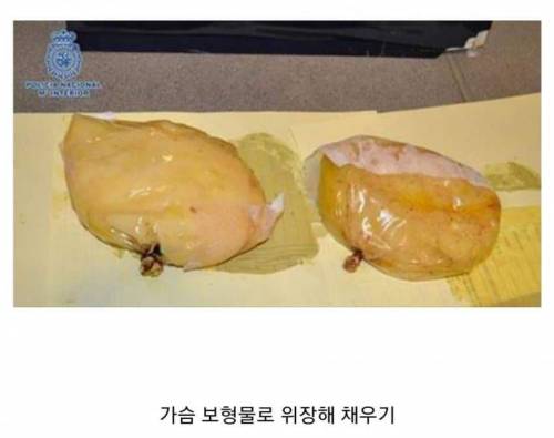 기상천외 마약 밀반입 수법.jpg