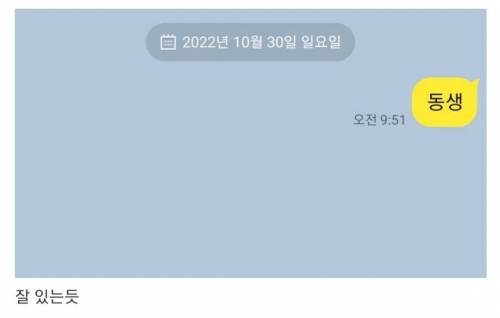서울 사는 동생이 잘 지내는지 연락해봄