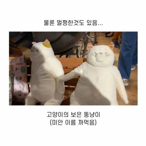 이달에 개장한 지브리 파크 굿즈