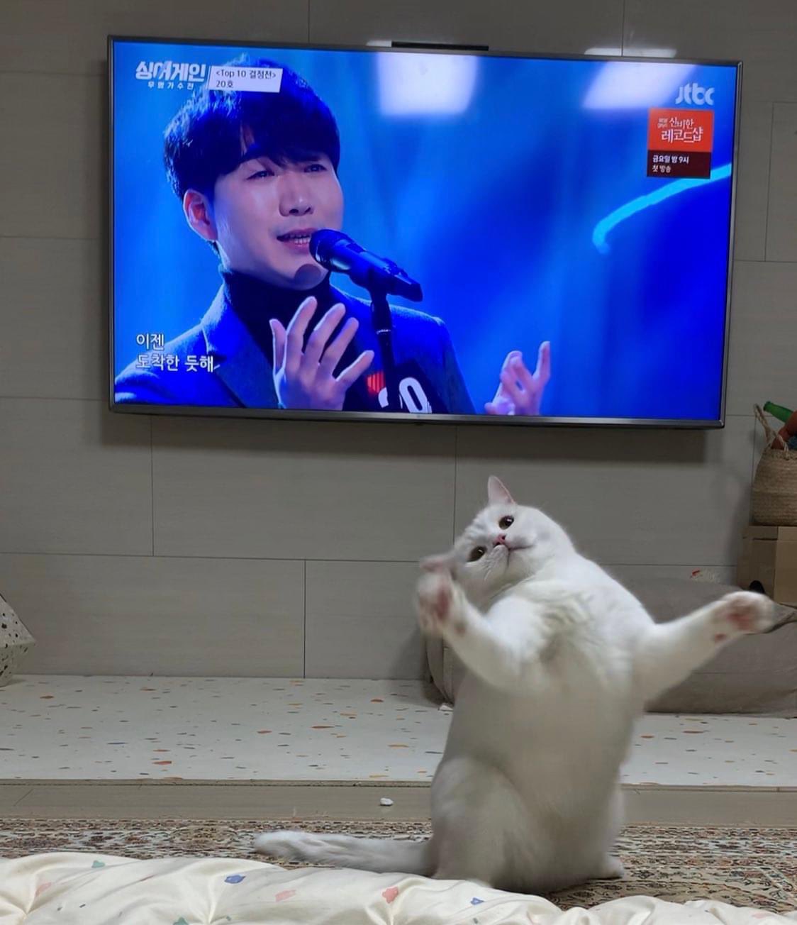 다시.. 다시 노래하고 싶다냥!!!!