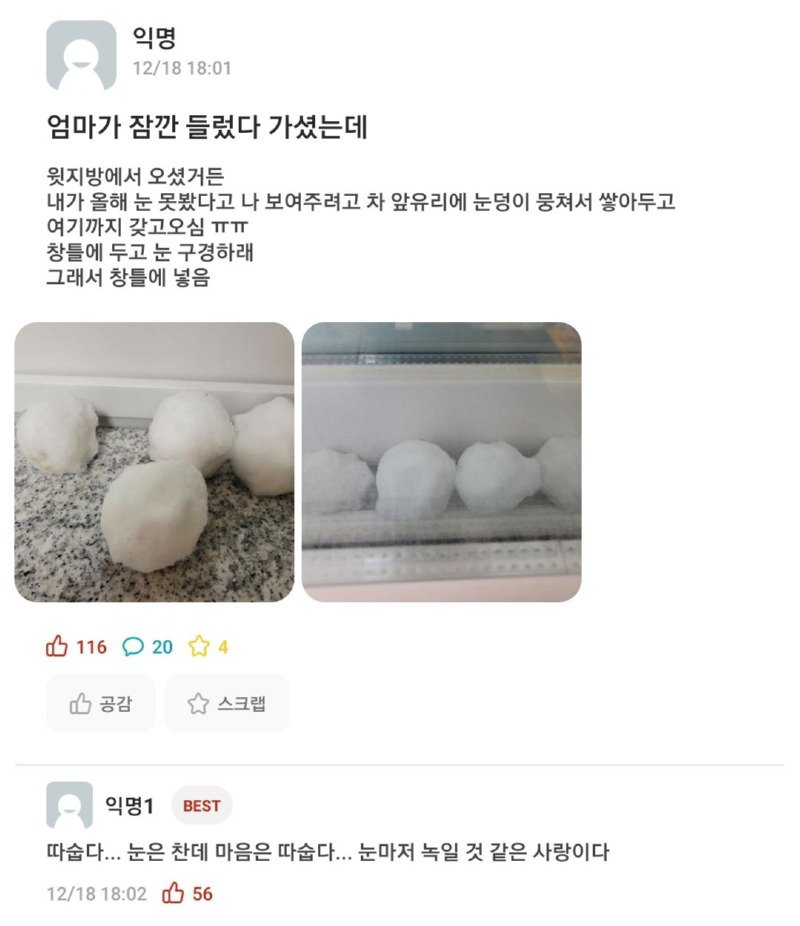 올해 내가 눈 못봤다고..jpg