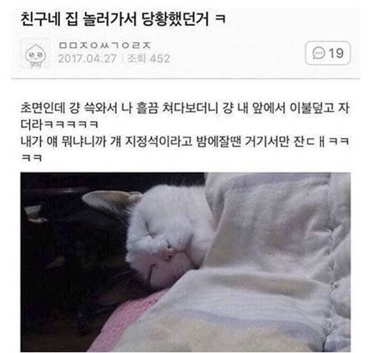 ?? : 조용히 놀다가라 인간