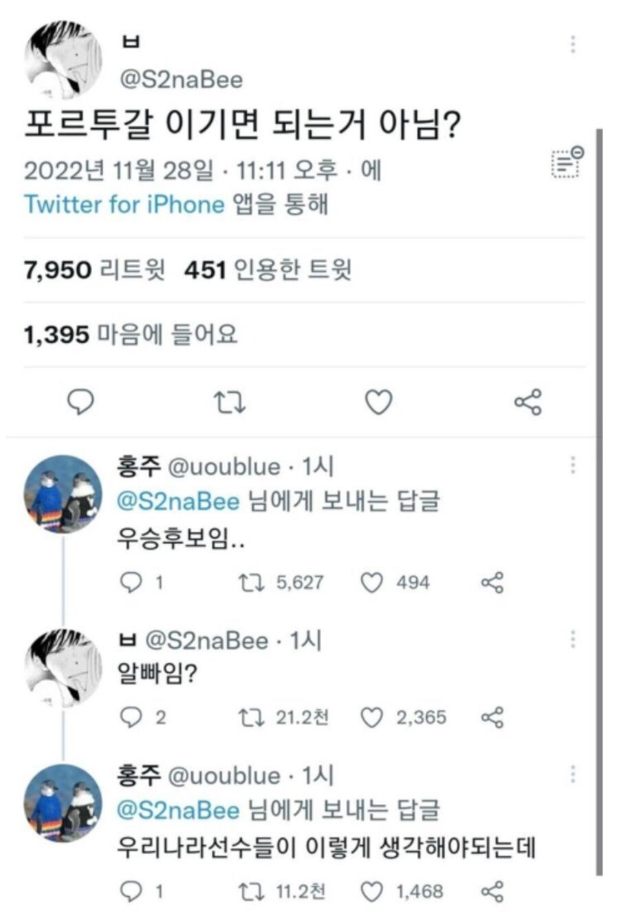 포르투갈 알빠임? 좌 근황
