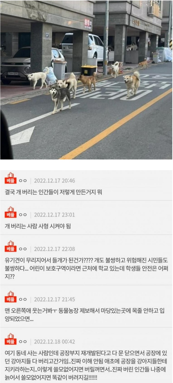 공장 부지 재개발 이후 길거리 풍경