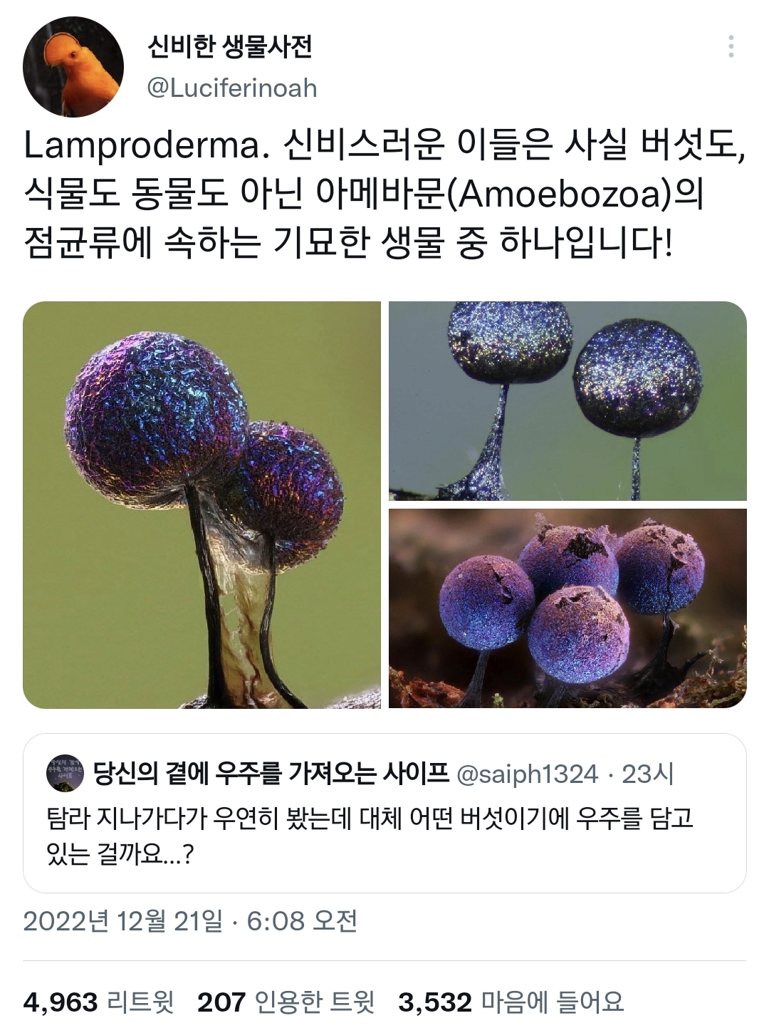 의외로 실존하는 기묘한 생물.jpg