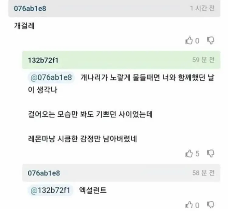 젖탱이 개걸레 부랄짝 소라에게돈