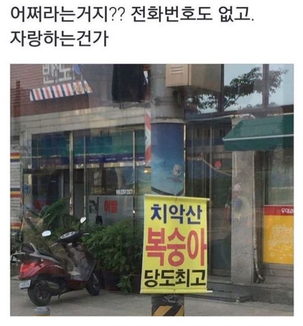 결혼상대 찾는 광고문.jpg