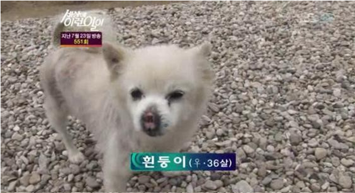 새해 맞이 나이별 프로필 사진..jpg