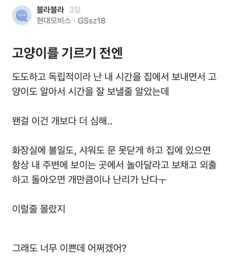 고양이는 독립적이라 알아서 시간 잘 보낼 줄 알았는데.jpg