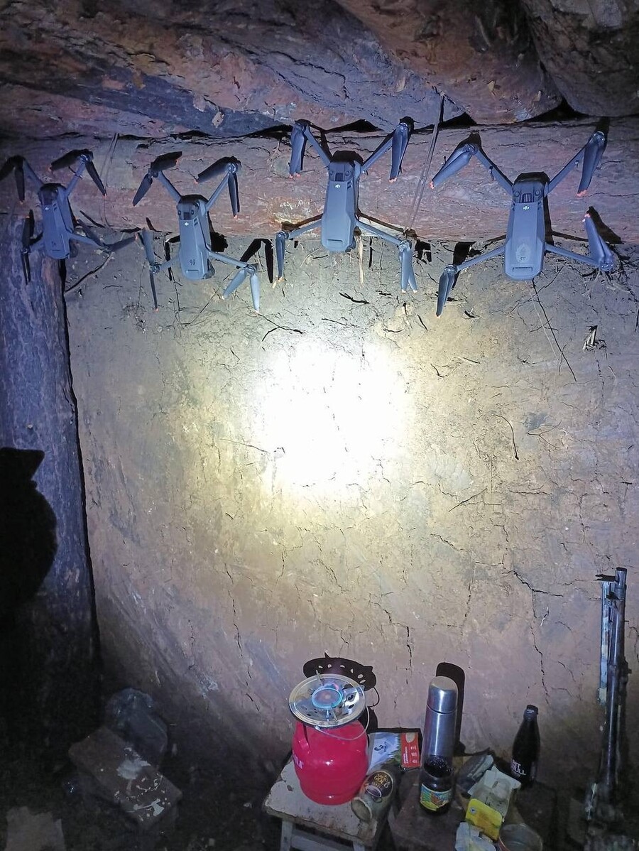 우크라이나 동굴에서 발견된 신종 박쥐