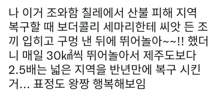 보더콜리 활용법