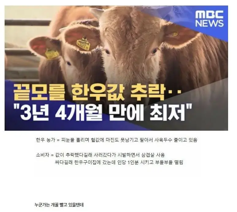 생산자가 1만 149원에 팔면