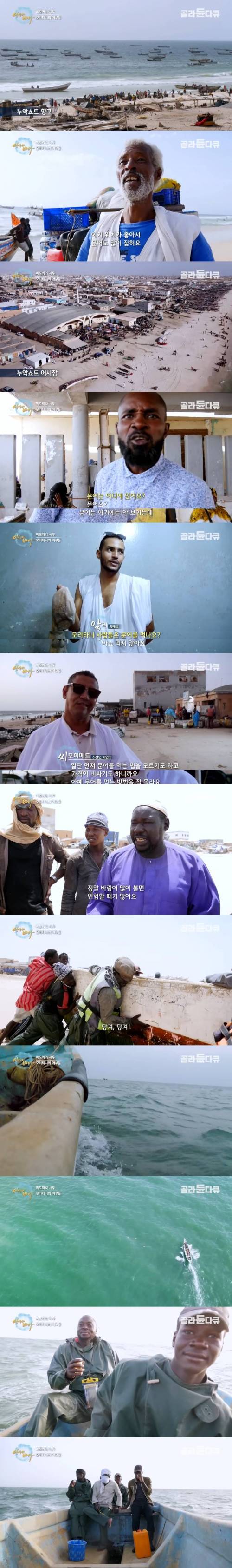 문어를 못 먹는 이슬람인들이 문어를 잡는 이유