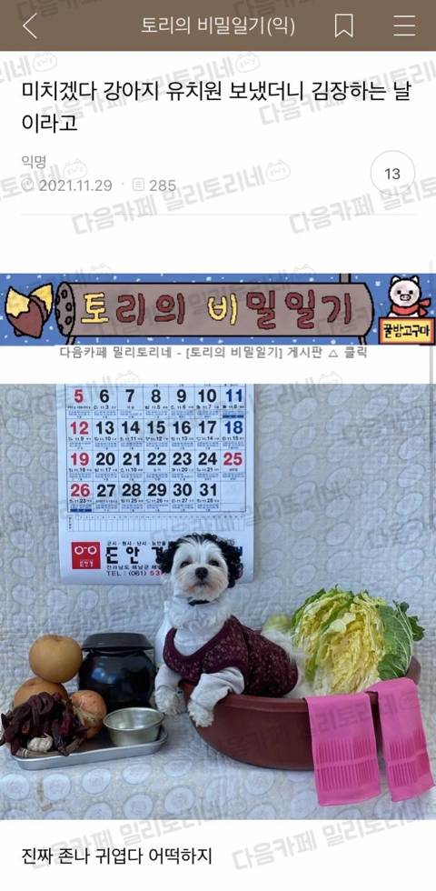 미치겠다 강아지 유치원 보냈더니 김장하는 날이라고