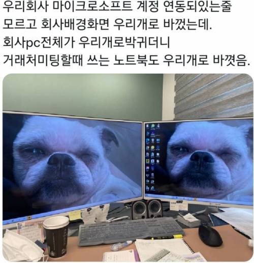 회사 컴퓨터 배경화면 바꿨는데