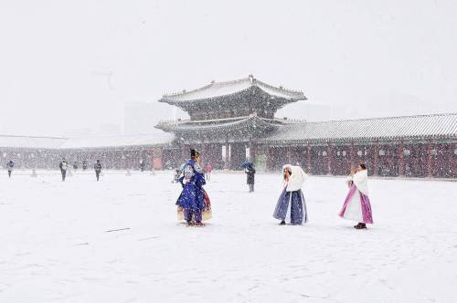 함박눈 내리던 경복궁 설경