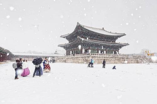 함박눈 내리던 경복궁 설경