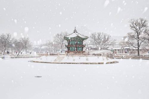 함박눈 내리던 경복궁 설경