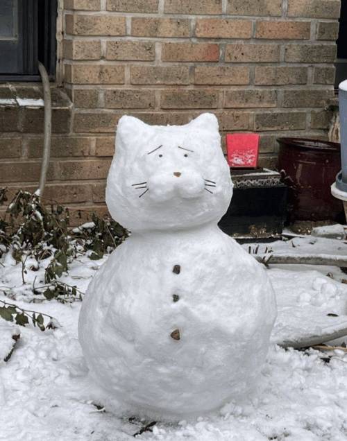 ?하룻밤 사이 흑화한 고양이