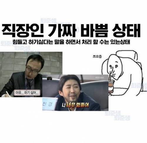 가짜바쁨 vs 진짜바쁨