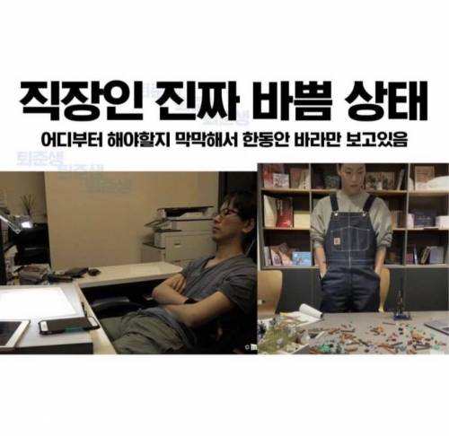 가짜바쁨 vs 진짜바쁨