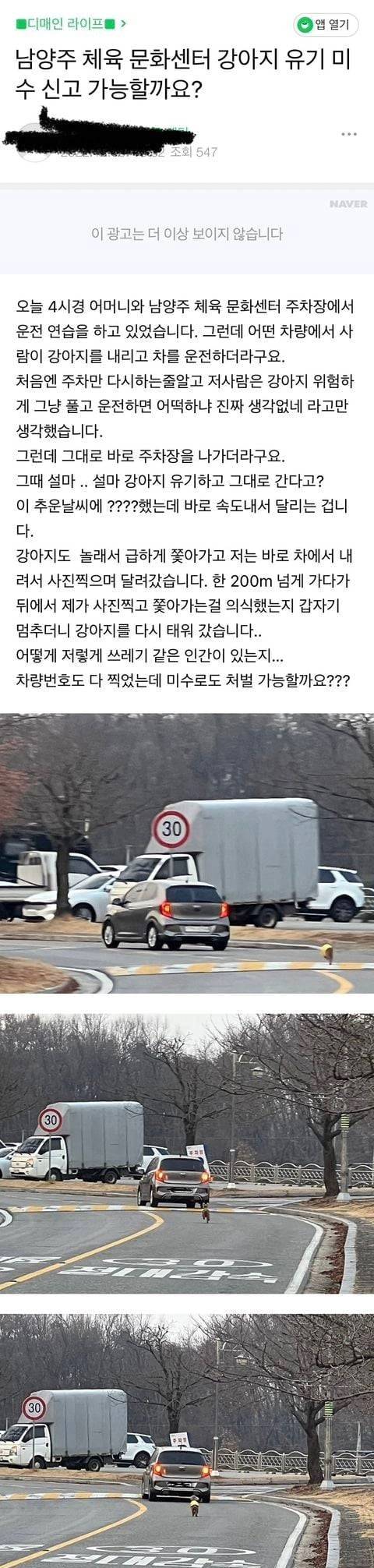 실시간 강아지 유기를 목격한 디매인.jpg