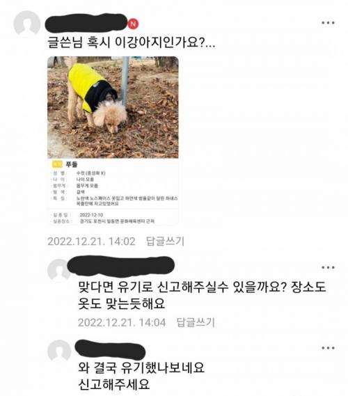 실시간 강아지 유기를 목격한 디매인.jpg